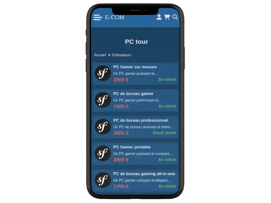 Image du site E-commerce + stripe